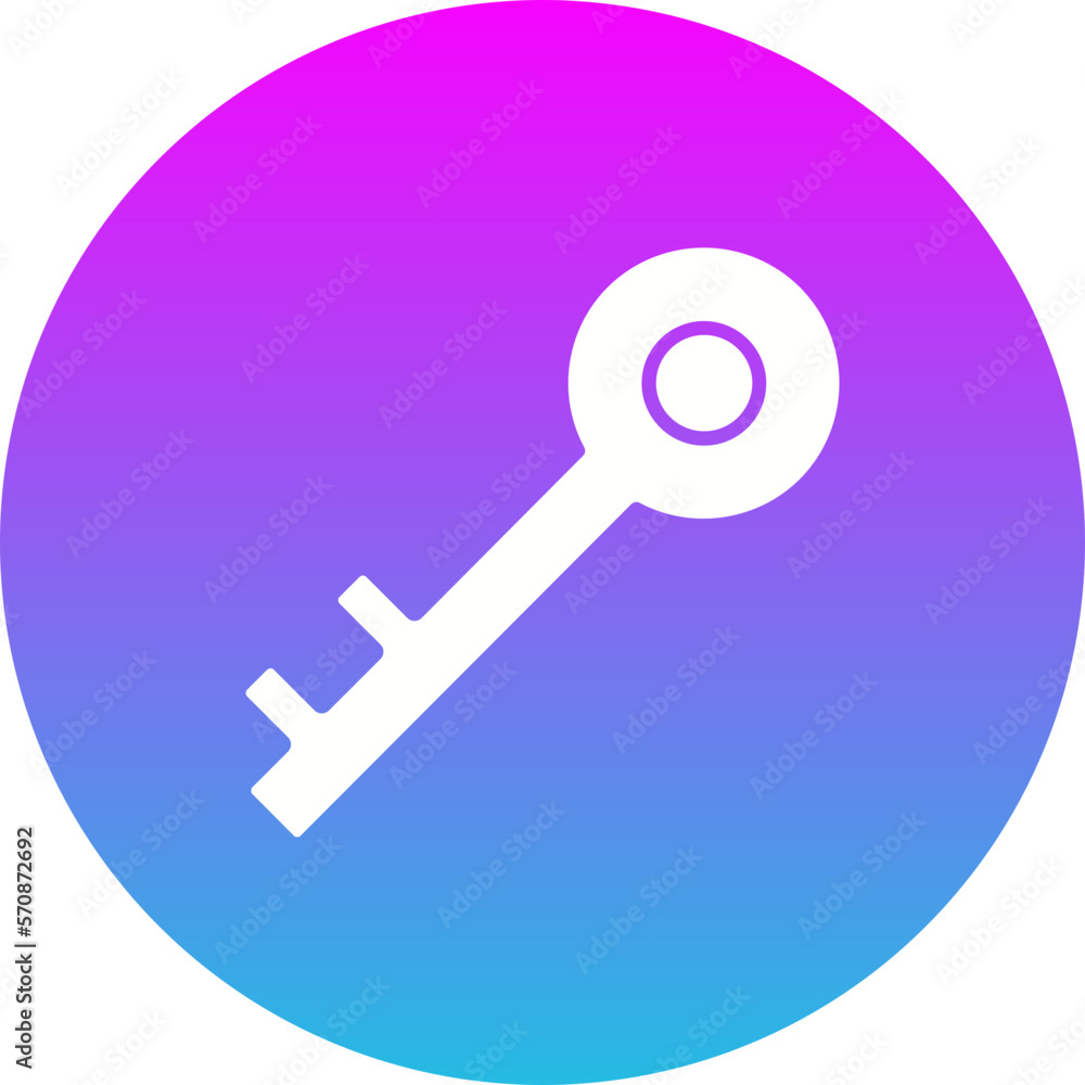 Key Icon Key Icon