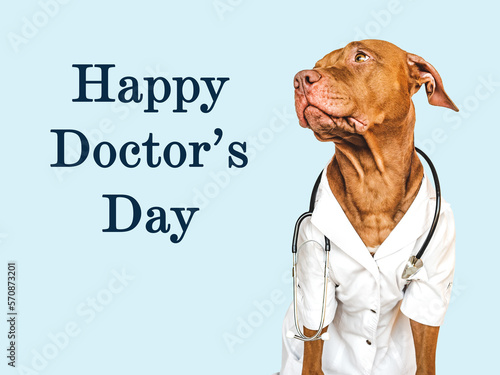 Happy Doctor's day. Lovable, pretty puppy, dressed in a doctor's coat. Closeup, indoors. Studio photo. Pets care concept