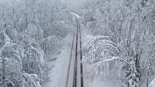 The road in forest after snowstorm. Trees with droopy branches near the road. Plateliai, Lithuania.