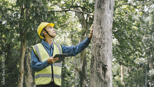 Forest evaluation and management - forestry engineer working with digital tablet in the woods..
