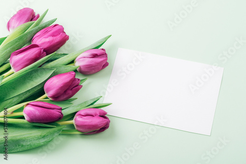 Purple tulips, blank paper on light green background. Valentine's Day, Mother's Day, Women's day holiday concept. Top view, flat lay, mockup