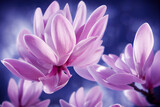Beautiful pink magnolia flowers in the spring, Generative AI Art Illustration 