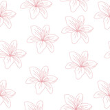 Seamless pattern of lilies. Beautiful delicate lily. Vector illustration on white background