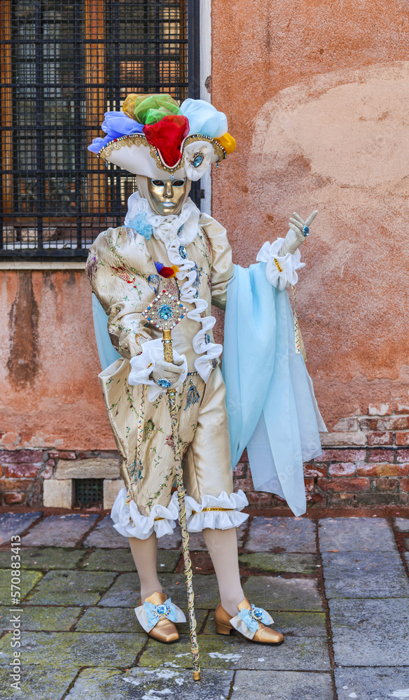 Disguised Person - Venice Carnival Disguised Person - Venice Carnival