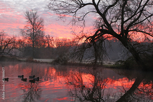 Winter sunrise along the River Wey  Godalming  Surrey  UK.