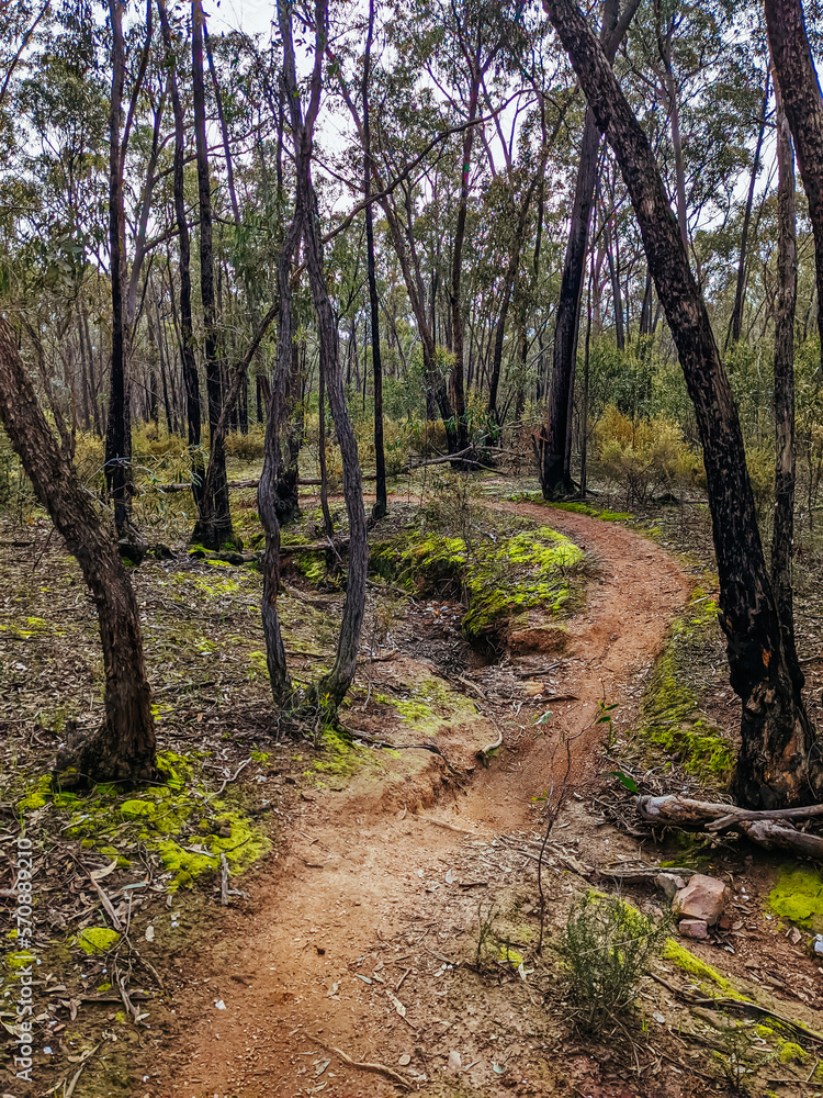 Castlemaine Bike Trails in Australia