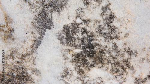 Texture of grey porcelain stoneware, ceramic tiles. Abstract background, copy space. Mold on stone. © Katerina Bond