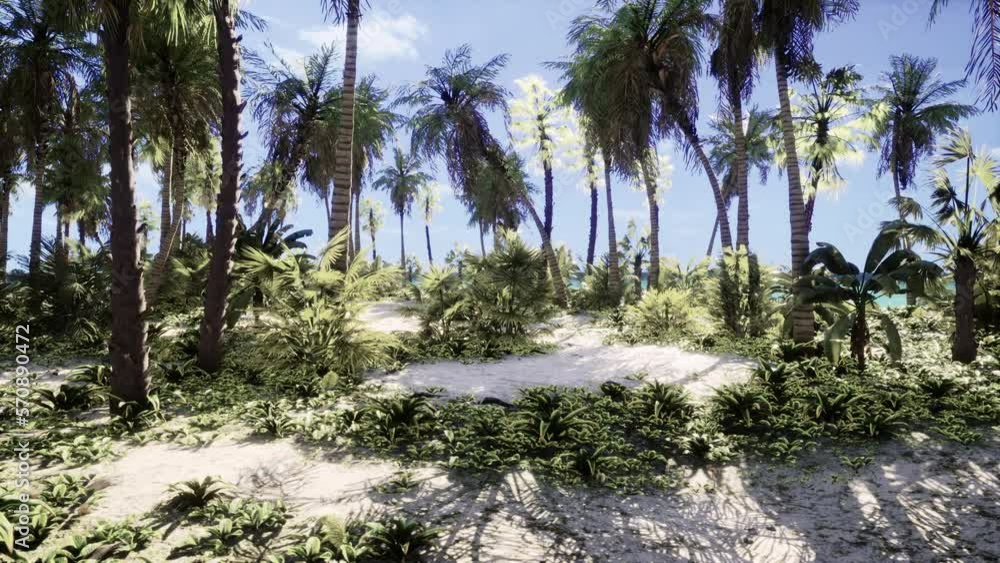 View of nice tropical beach with palms around View of nice tropical beach with palms around