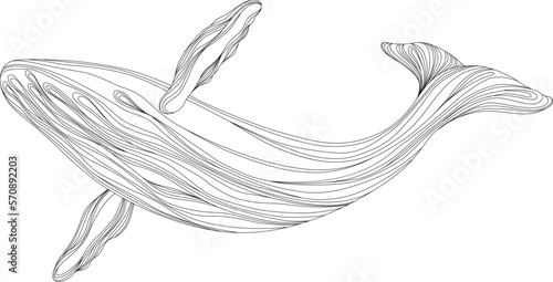 Abstract whale floating underwater. Illustration isolated animal on white background. Ocean mammal swimming.