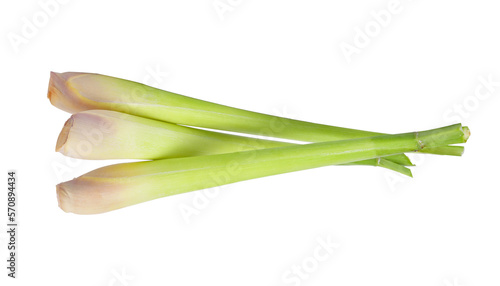 Lemon grass on transparent png