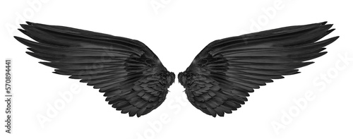black wing isolated on transparent png