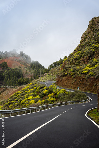 Road in the top of Gran Canaria. Caldera de los Marteles. canary Islands. vertical composition photo
