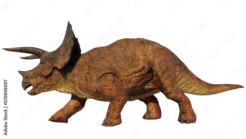 Triceratops Dinosaur on Transparent PNG Background Triceratops Dinosaur on Transparent PNG Background