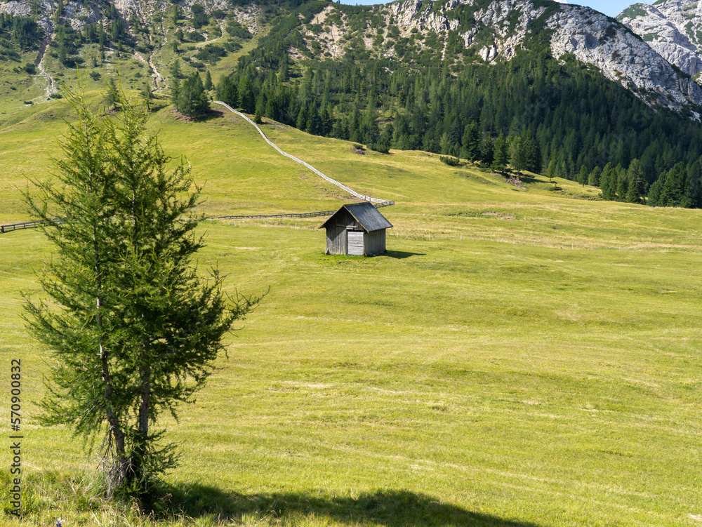Dolomites, Italy. A perspective of the ground's colors and shapes. Relaxing context. Traditional Alpine or Dolomites landscape. Amazing view of the hills and the mountains Dolomites, Italy. A perspective of the ground's colors and shapes. Relaxing context. Traditional Alpine or Dolomites landscape. Amazing view of the hills and the mountains