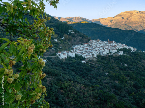 Algatocin pueblos sierra provincia de Málaga, Andalucía, España, con castaños en el lado izquierdo. photo