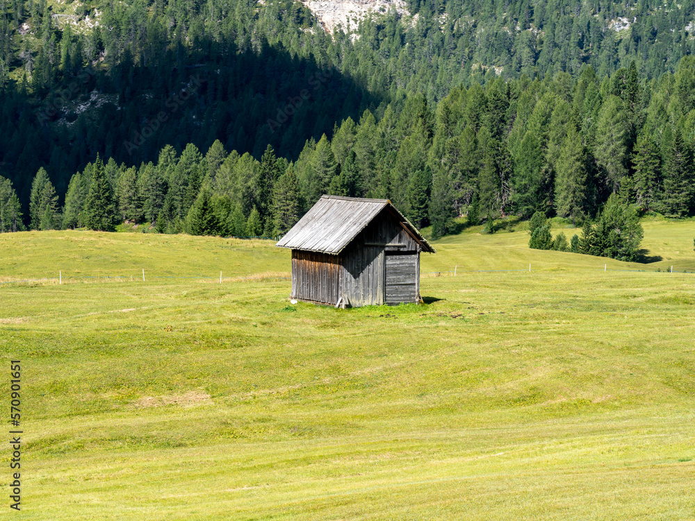 Dolomites, Italy. A perspective of the ground's colors and shapes. Relaxing context. Traditional Alpine or Dolomites landscape. Amazing view of the hills and the mountains
