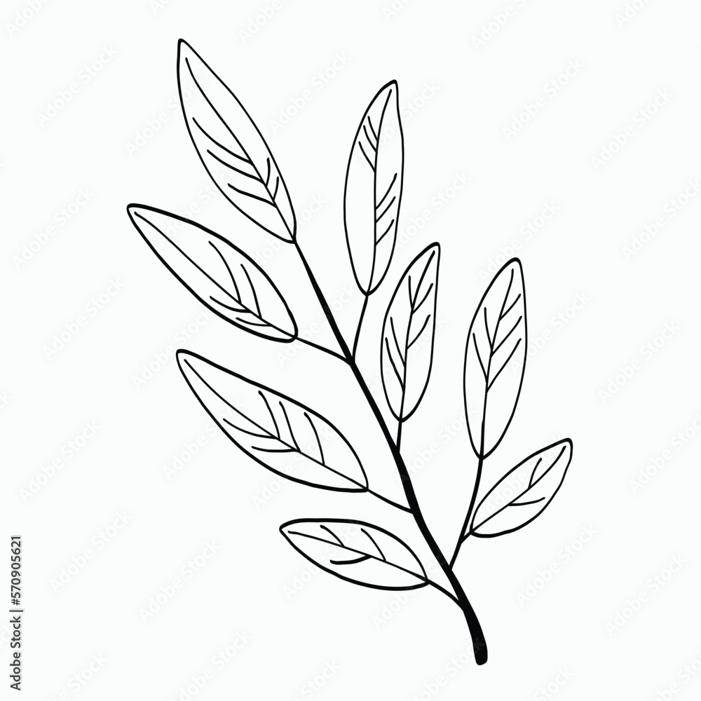 Simplicity floral freehand drawing flat design. Simplicity floral freehand drawing flat design.