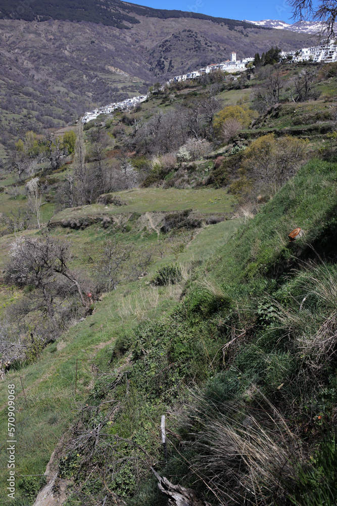Landscape along the Mulhacen O Poqueria river and gorge - Capileira - Sierra Nevada - Andalusia - Spain Landscape along the Mulhacen O Poqueria river and gorge - Capileira - Sierra Nevada - Andalusia - Spain