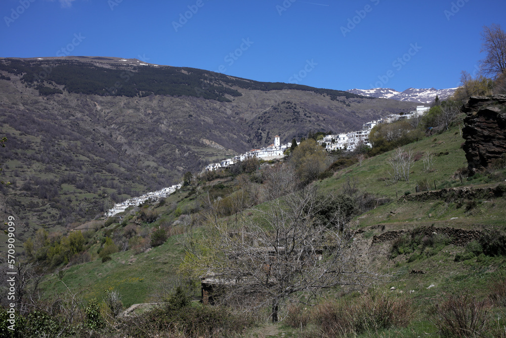 Landscape along the Mulhacen O Poqueria river and gorge - Capileira - Sierra Nevada - Andalusia - Spain
