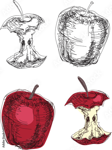 vector illustration of apples