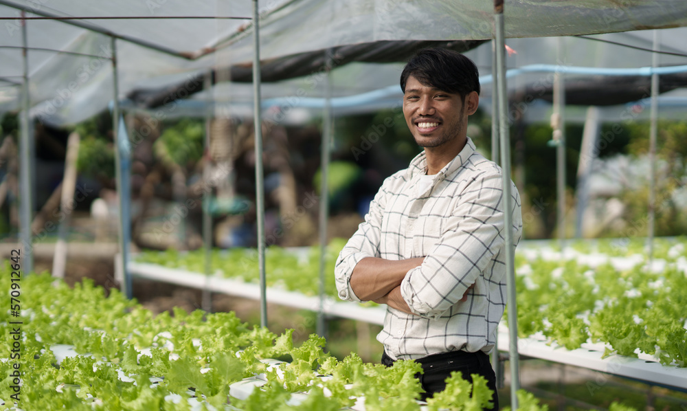 Portrait of young handsome Asian farmer standing in the green salad hydroponic farm with confident. Portrait of young handsome Asian farmer standing in the green salad hydroponic farm with confident.