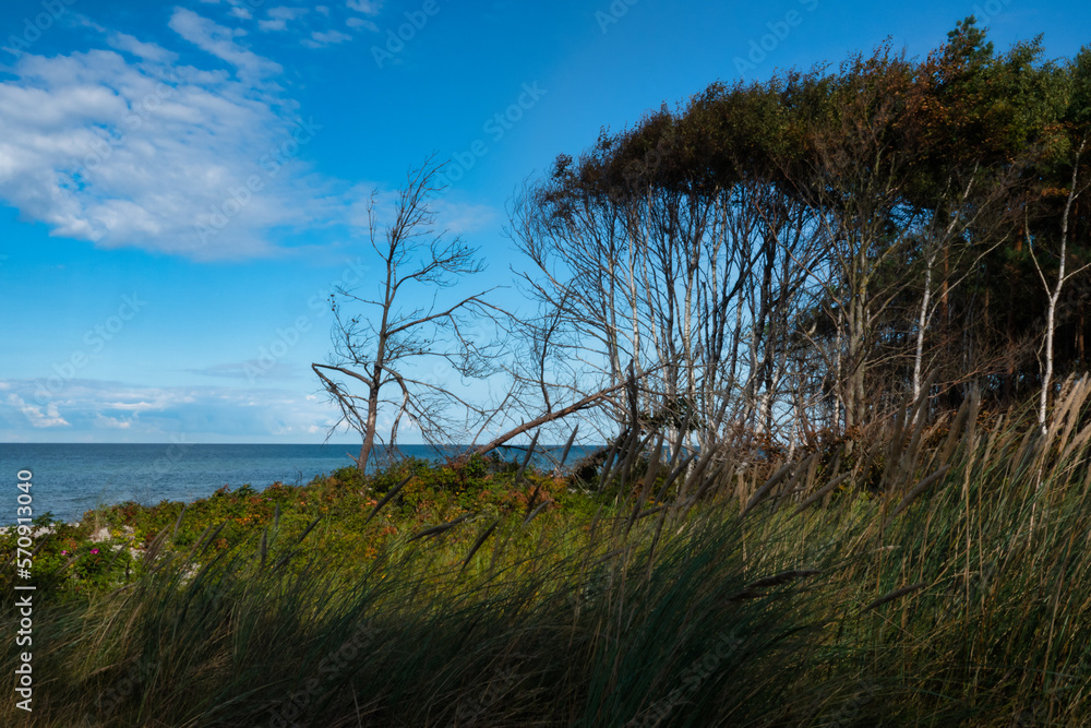 Strandleben Strandleben