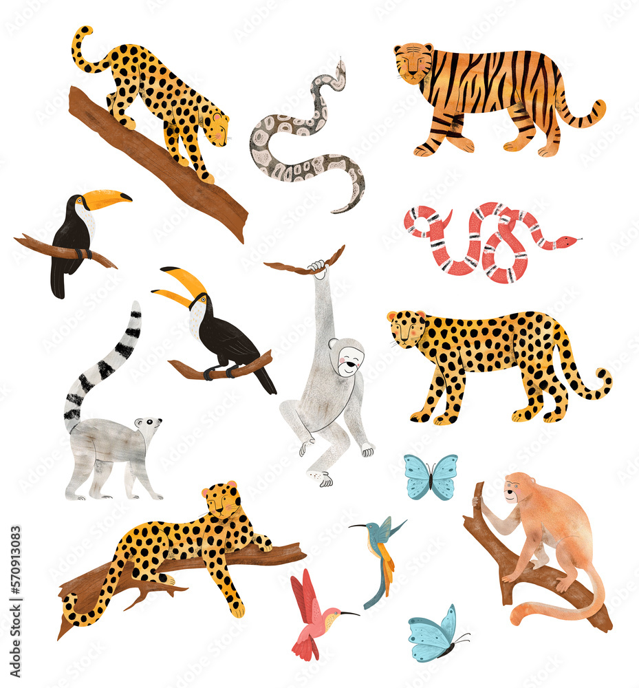 Fototapeta premium Digital elements of safari, jungle patterns, isolates, savannah animals