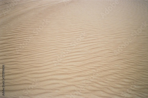 sand dune texture in Dubai   film photography 