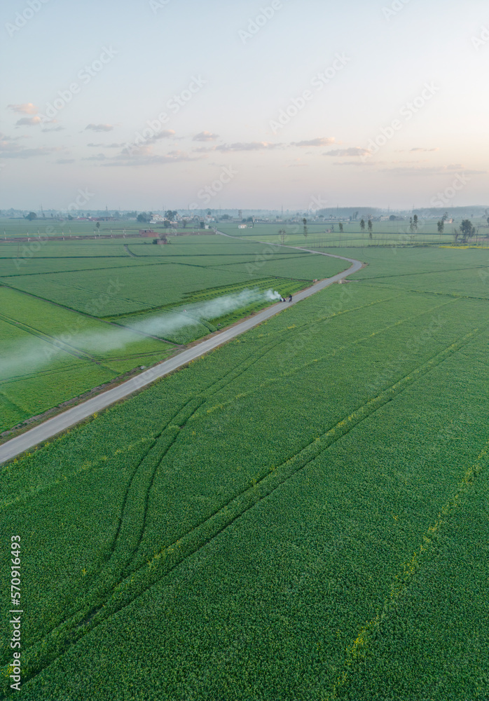A serene winter morning view in rural Punjab, India, captured with drone depicts a picturesque landscape misty horizons. In the foreground, the fields are blanketed in a layer of frost, reflecting the