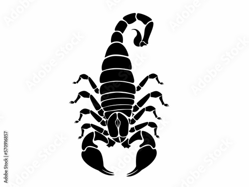 Scorpion Vector" Images – Browse 61 Stock Photos, Vectors, and Video |  Adobe Stock