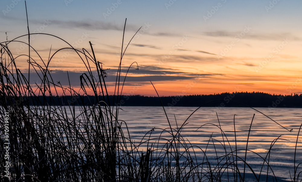 Scenic view of the silhouette of tall, dried grass that was growing by the edge of a frozen lake on a cold November night with a colorful sunset and the horizon in the background. Scenic view of the silhouette of tall, dried grass that was growing by the edge of a frozen lake on a cold November night with a colorful sunset and the horizon in the background.
