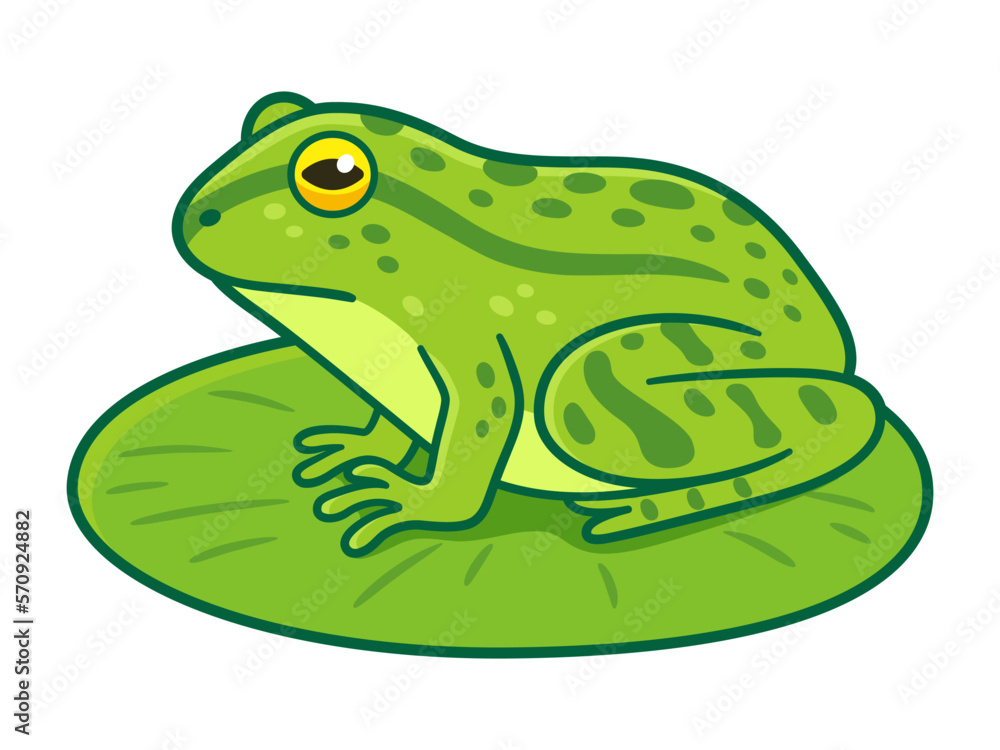 Fototapeta premium Green frog on lilypad drawing