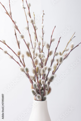 flowering fluffy willow twigs in a vase on a white background. Symbol of Christianity, Palm Sunday photo