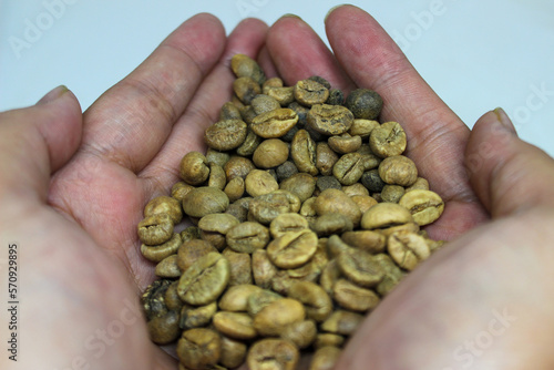 portrait of coffee beans in hand