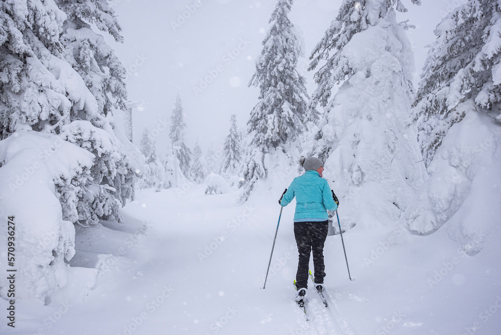 Woman skiing in frozen forest