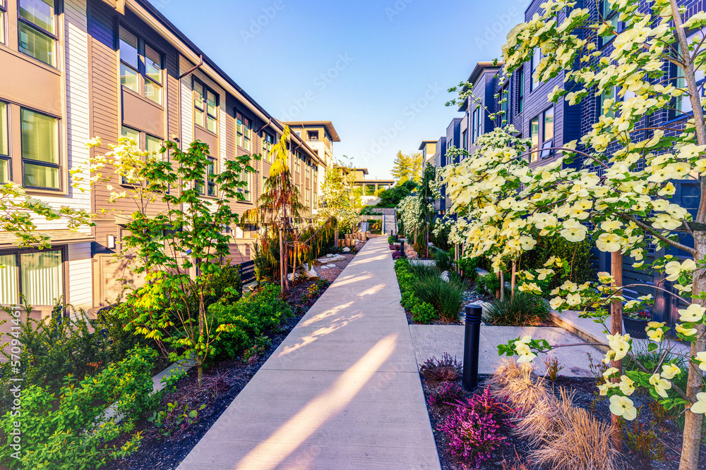 Spring flowers, shrubs and blossoms at a BC suburban development.