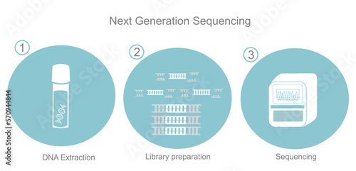 The important step of Next Generation Sequencing: DNA Extraction, Library preparation and sequencing for the analyzing of DNA sequence of target sample that represents in the blue and white icon.