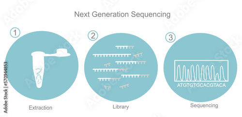 Canvastavla The detection icon of next generation sequencing that including important step : DNA extraction, library preparation, sequencing for DNA sequencing finding