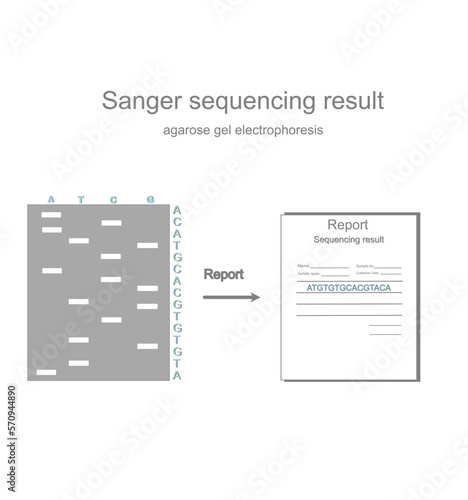 The concept picture of sequencing result report of DNA sequence after detection with Sanger sequencing technique and separated the DNA fragment with gel electrophoresis.