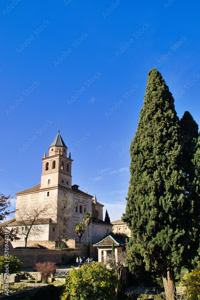 catedral y cipreses en Granada
