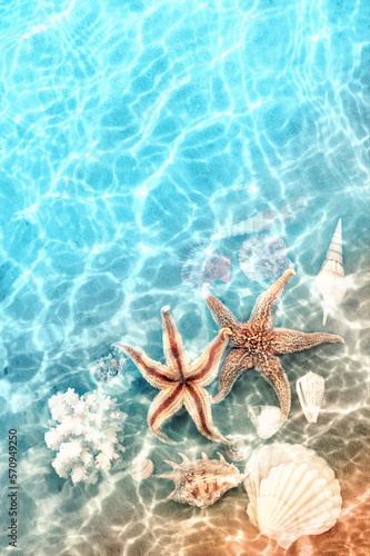 Starfish and coral on the summer beach in sea water. Summer background.