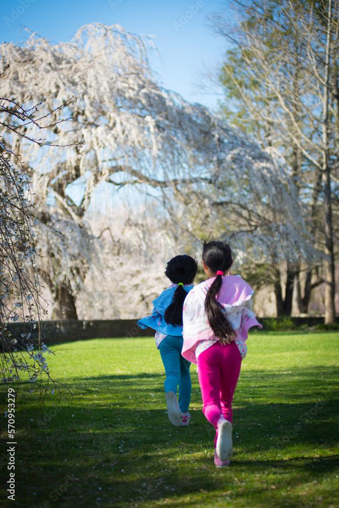 Young asian girls running in park with cherry blossoms