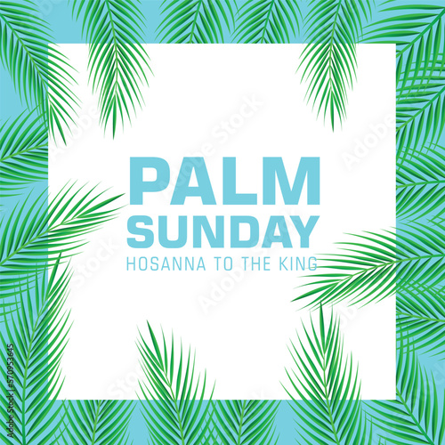 Palm Sunday holiday card  Summer sale  hello summer poster with realistick palm leaves border  frame. Vector background.