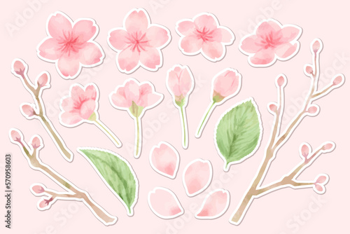 桜の水彩風パーツイラストセット　白縁シール風　主線なし、ベクター