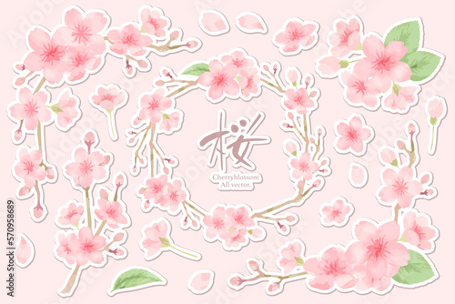 桜の水彩風フレームイラストセット　白縁シール風　主線なし、ベクター