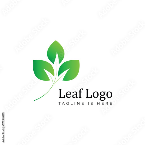 green leaves design elements