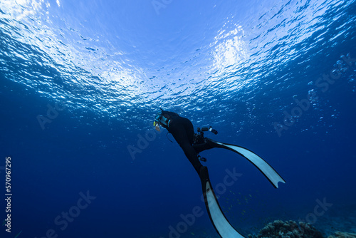 Seascape with Freediver in the coral reef of the Caribbean Sea