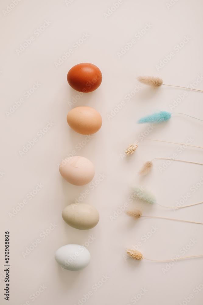 Happy Easter concept. Fresh chicken eggs of natural shades and colors on a white background