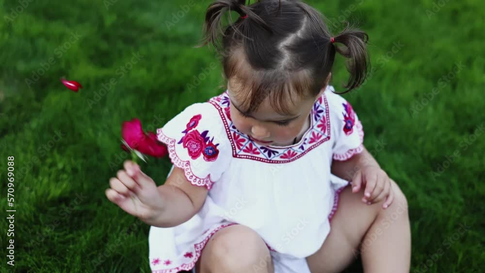 International Children day. Adorable little baby girl having fun with red rose flower, fun destroying it on green grass lawn on summer warm day. Nature child development at healthy relationship. International Children day. Adorable little baby girl having fun with red rose flower, fun destroying it on green grass lawn on summer warm day. Nature child development at healthy relationship.