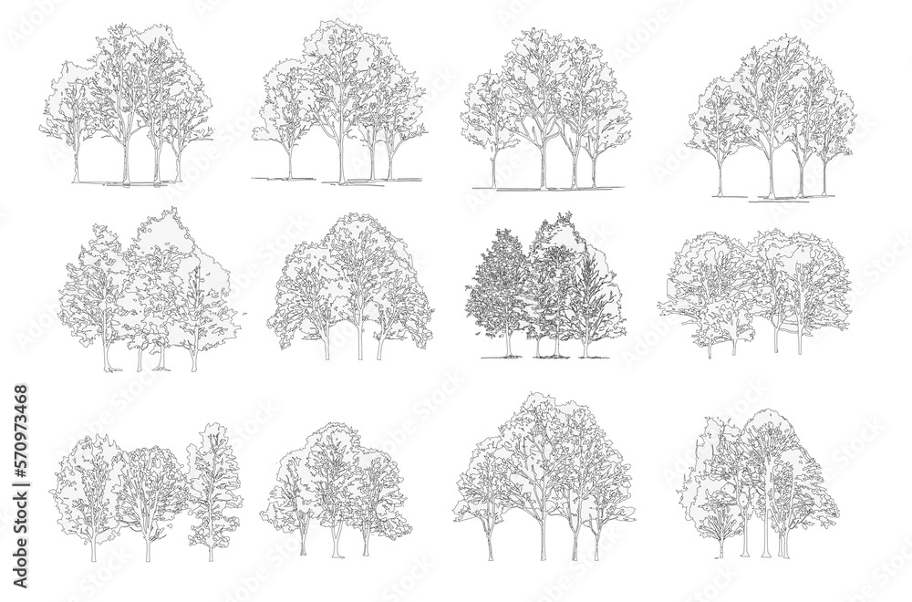 Group of trees line drawing, Side view, set of graphics trees elements